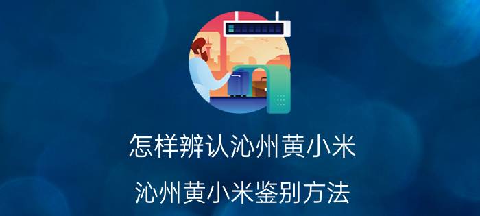 怎样辨认沁州黄小米 沁州黄小米鉴别方法